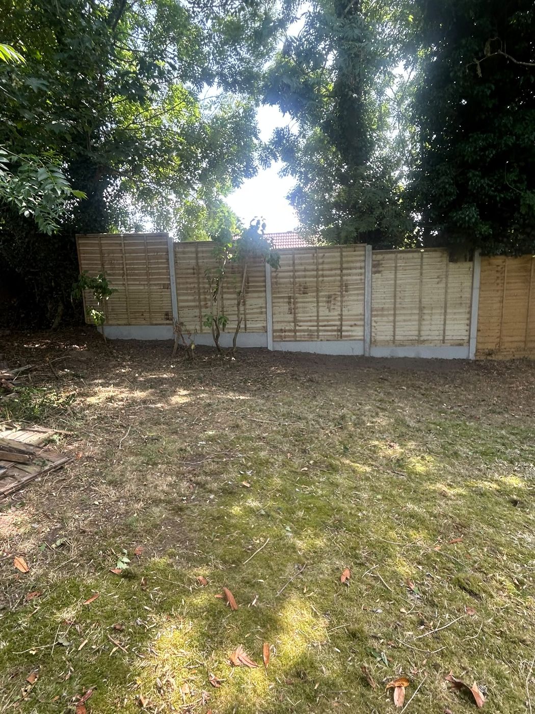 New fence panels and concrete posts installed in a rear garden